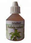 Kalísia voòavá (Callisia fragrans) - Elixír zdravia